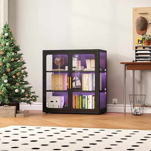 Display Cabinet with Glass Doo - Glass Cabinet Display review and price