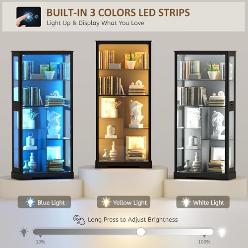 71” Glass Display Cabinet with - Glass Cabinet Display review and price